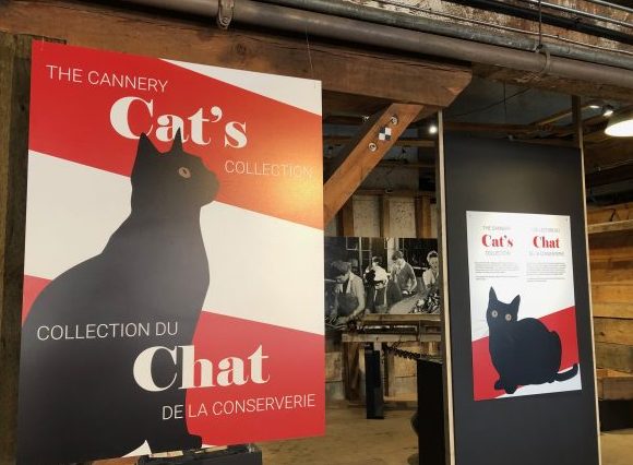 museum signs for Cannery Cat's Collection exhibit 