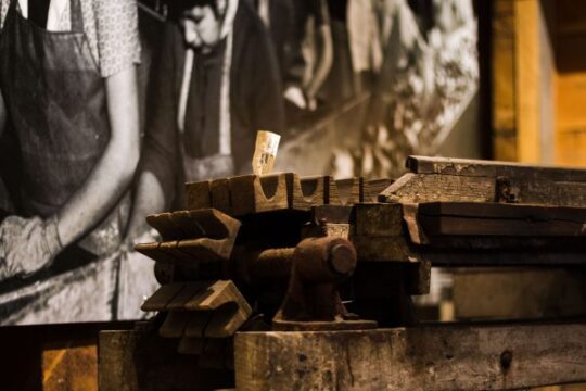 A Closeup Look at The Cannery Cat’s Collection