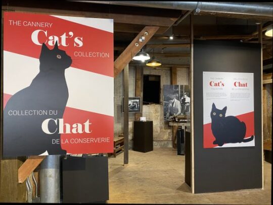 Mewseum Mondays – Featuring the Cannery Cat’s Collection