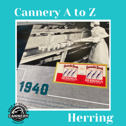 Cannery A to Z: H is for Herring