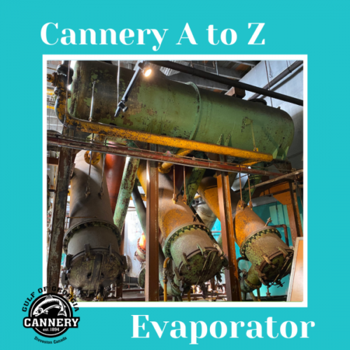 Cannery A to Z: E is for Evaporator