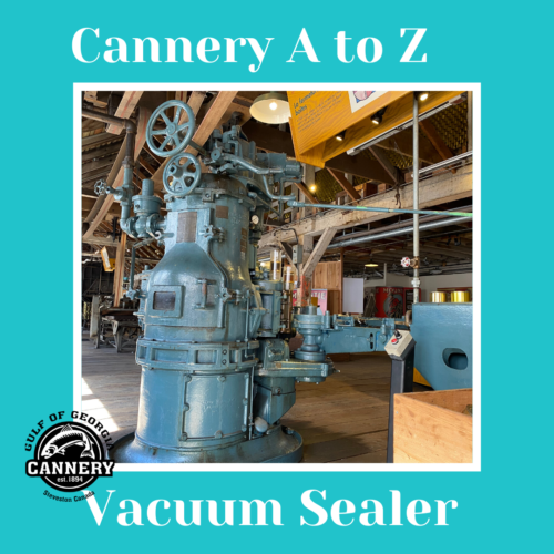 Cannery A to Z: V is for Vacuum Sealer